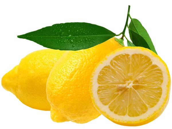 Lemon putih — Stok Foto