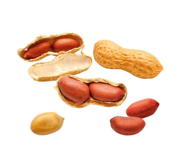 Peanuts — Stock Photo, Image