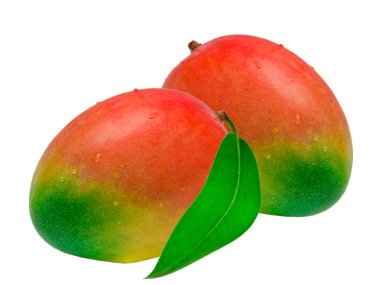 Mango beyaz