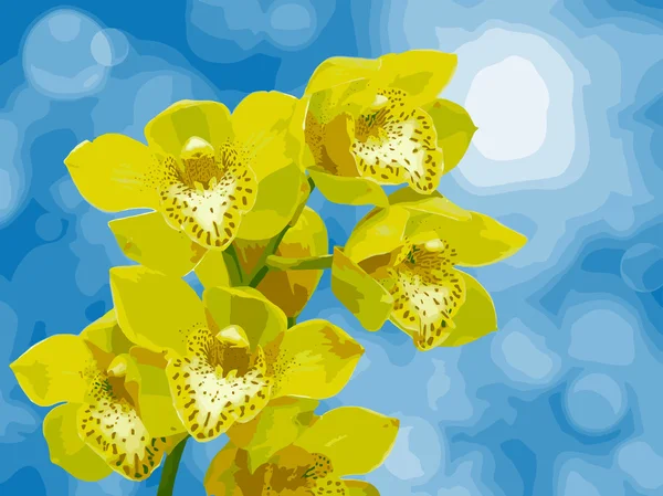 Flor de orquídea —  Vetores de Stock