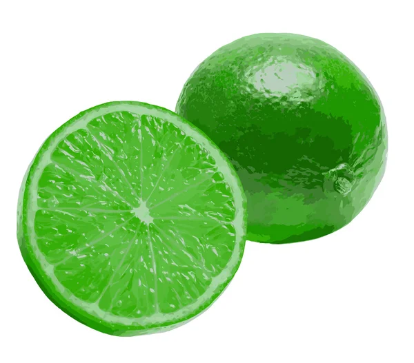 Citron vert sur blanc — Image vectorielle