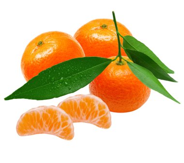Mandarins clipart