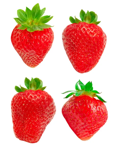 stock image Strawberry