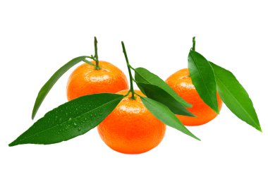 Mandarin