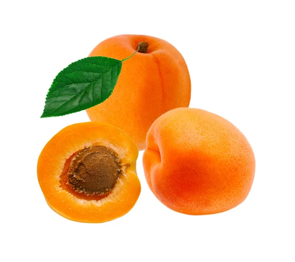 Apricot — Stock Photo, Image