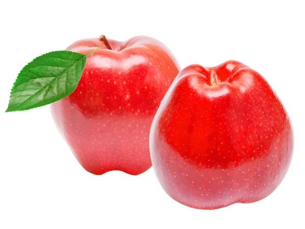 Manzana roja — Foto de Stock