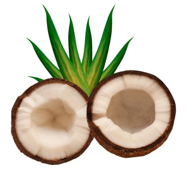 Coconut isolated on white background clipart