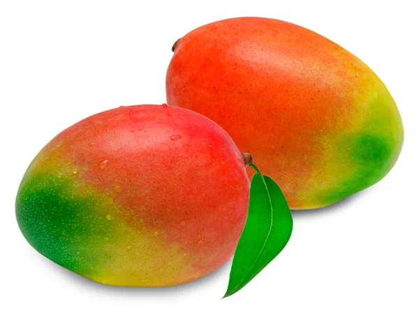 Mango izolált fehér alapon — Stock Fotó