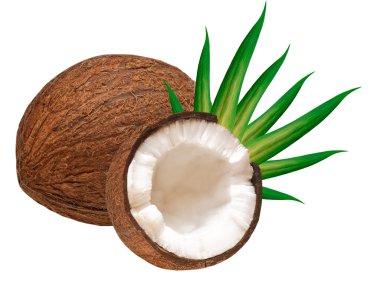 Coconut isolated on white background clipart