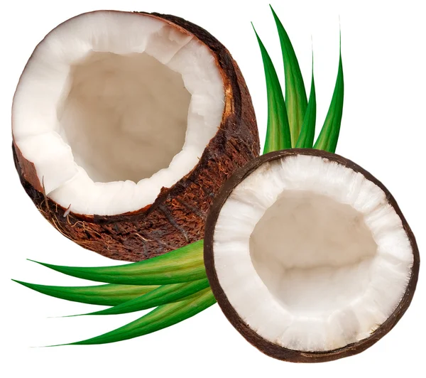 Coco isolado sobre fundo branco — Fotografia de Stock