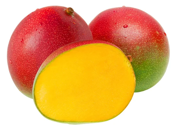 Mango απομονωμένο σε λευκό φόντο — Φωτογραφία Αρχείου