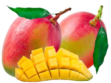 Mango