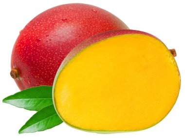 Mango clipart