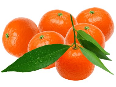 Mandarin