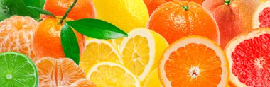 Citrus fruits background clipart