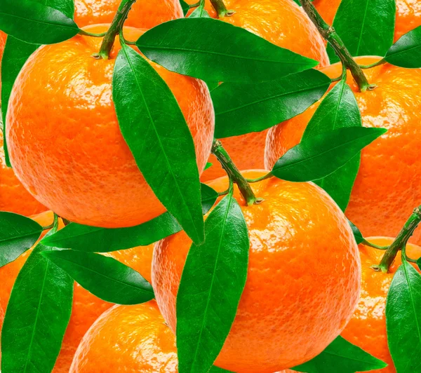 stock image Mandarins background