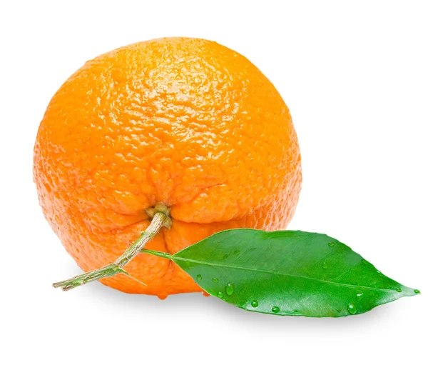 Arancione — Foto Stock
