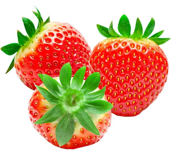 stock image Strawberry