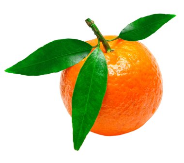 Mandarin