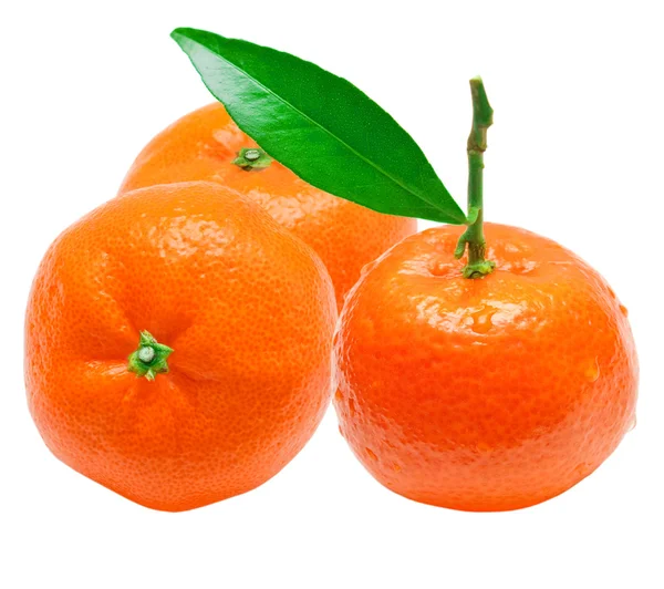 Mandarin — Stok fotoğraf