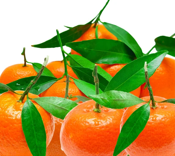 stock image Mandarin