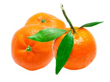 Mandarin