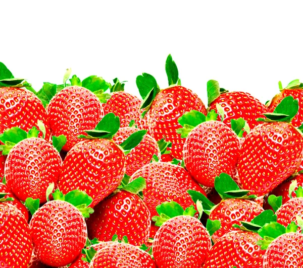 stock image Strawberry