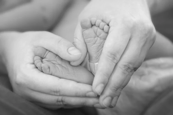Holding Baby Feet Stock Picture