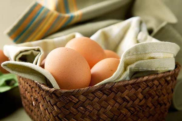 籠の中の卵 — ストック写真