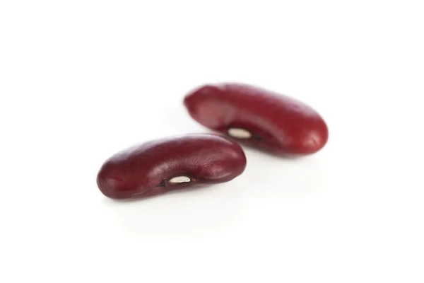 2 つの腎臓豆 — ストック写真