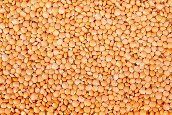 Red Lentils Textures — Stock Photo, Image