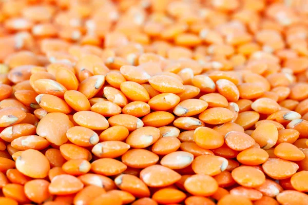 Dried Red Lentils — Stock Photo, Image