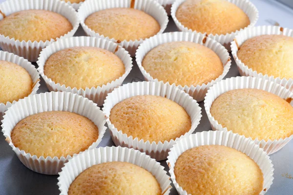 Cupcakes assados — Fotografia de Stock
