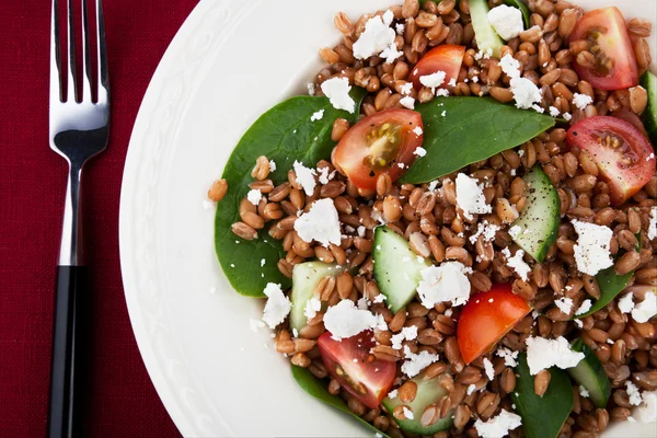 Salad Mengeja Sehat — Stok Foto
