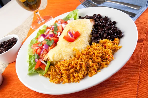 stock image Burrito Meal