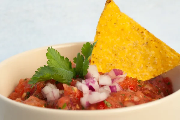 Taze salsa — Stok fotoğraf