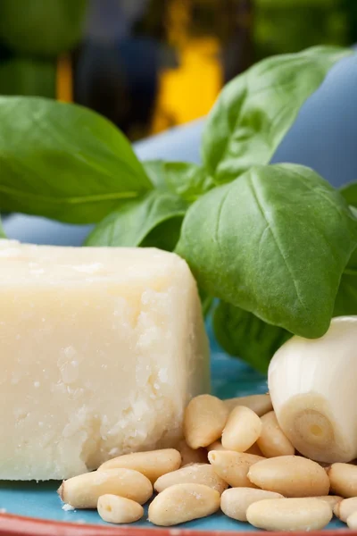 Closeup of Pesto Ingredients — Stock Photo, Image