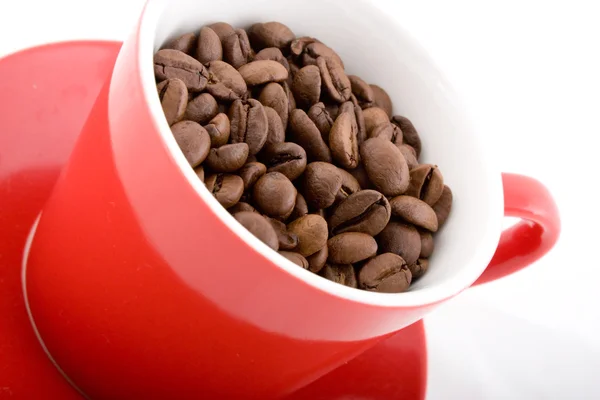 Red Cup of Beans — Stock Photo, Image