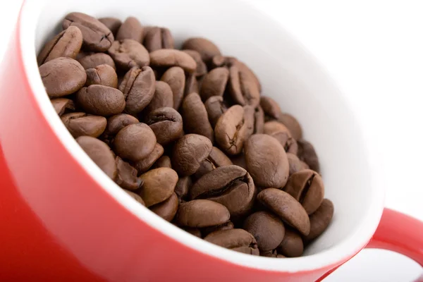 Kırmızı fincan kahve çekirdekleri — Stok fotoğraf