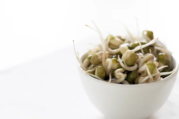 Sprouts: Mung Bean — Stock Photo, Image