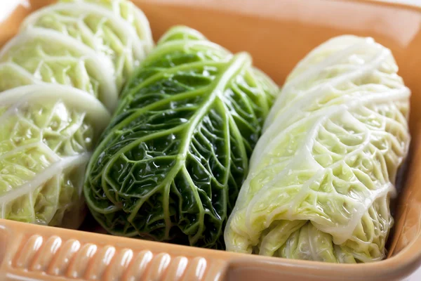 Stuffed Cabbage Leaves — Stock Photo, Image