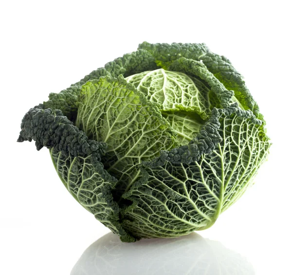 Curly Green Leaf Cabbage — Stock Photo, Image