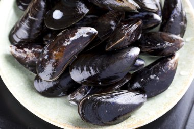 Raw Mussels clipart