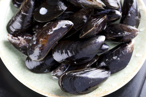 Raw Mussels — Stock Photo, Image