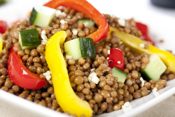 Close Up Vegetarian Lentil Salad — Stock Photo, Image