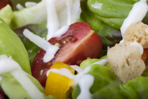 Salad Tomato — Stock Photo, Image