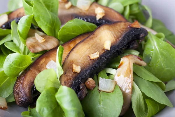 Fechar a salada de cogumelos Portebella — Fotografia de Stock