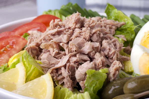 Salada Nicoise Close Up — Fotografia de Stock