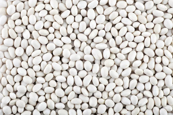 Feijões brancos secos — Fotografia de Stock