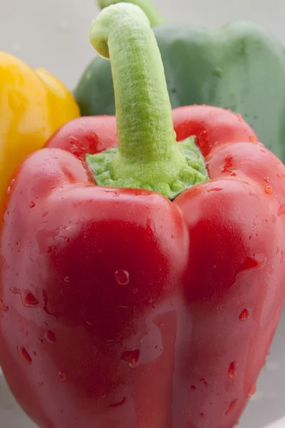 Red Bell Pepper Closeup — Stock Photo, Image